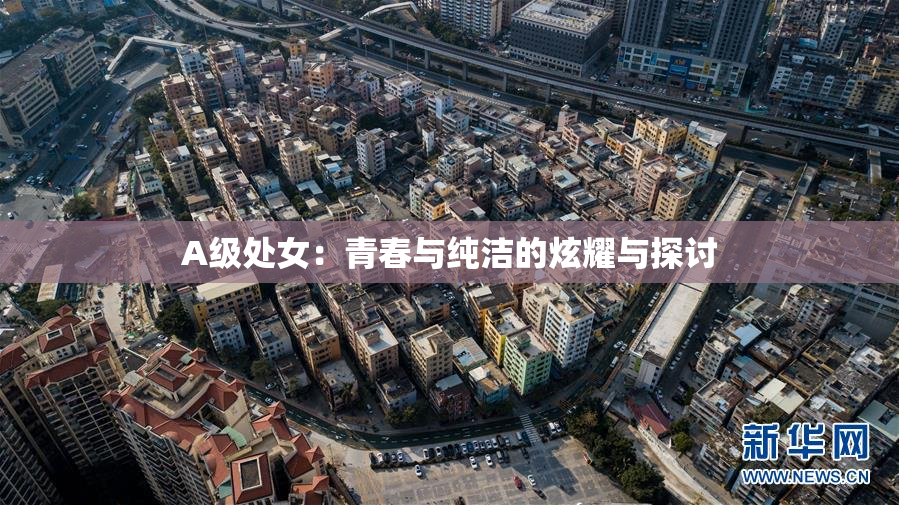 A级处女：青春与纯洁的炫耀与探讨
