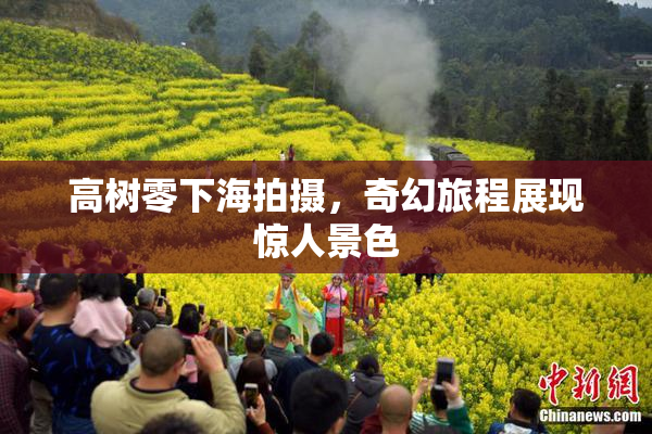 高树零下海拍摄，奇幻旅程展现惊人景色