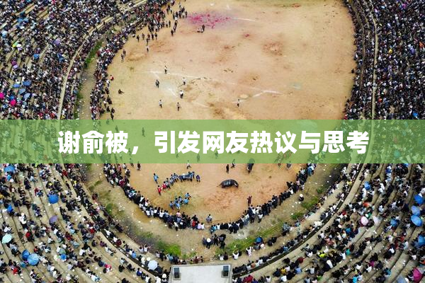 谢俞被，引发网友热议与思考