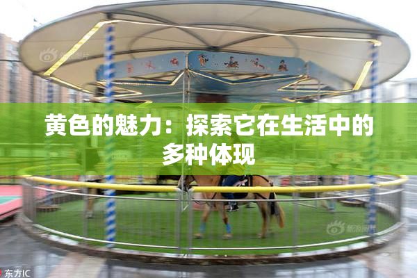 黄色的魅力：探索它在生活中的多种体现