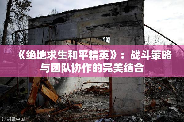 《绝地求生和平精英》：战斗策略与团队协作的完美结合