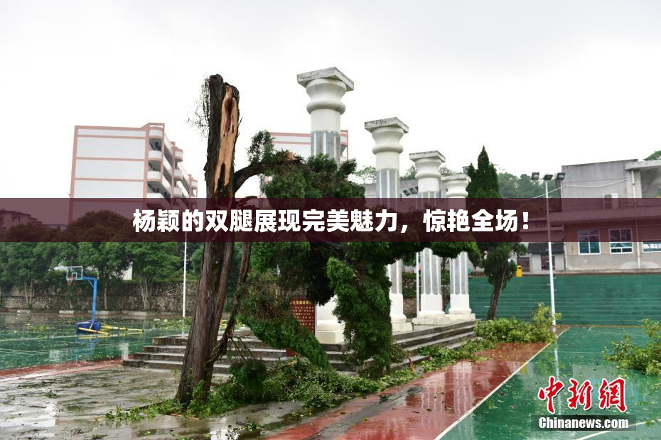 杨颖的双腿展现完美魅力，惊艳全场！
