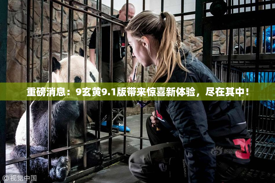 重磅消息：9玄黄9.1版带来惊喜新体验，尽在其中！