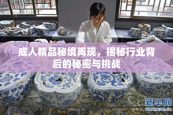 成人精品秘境再现，揭秘行业背后的秘密与挑战