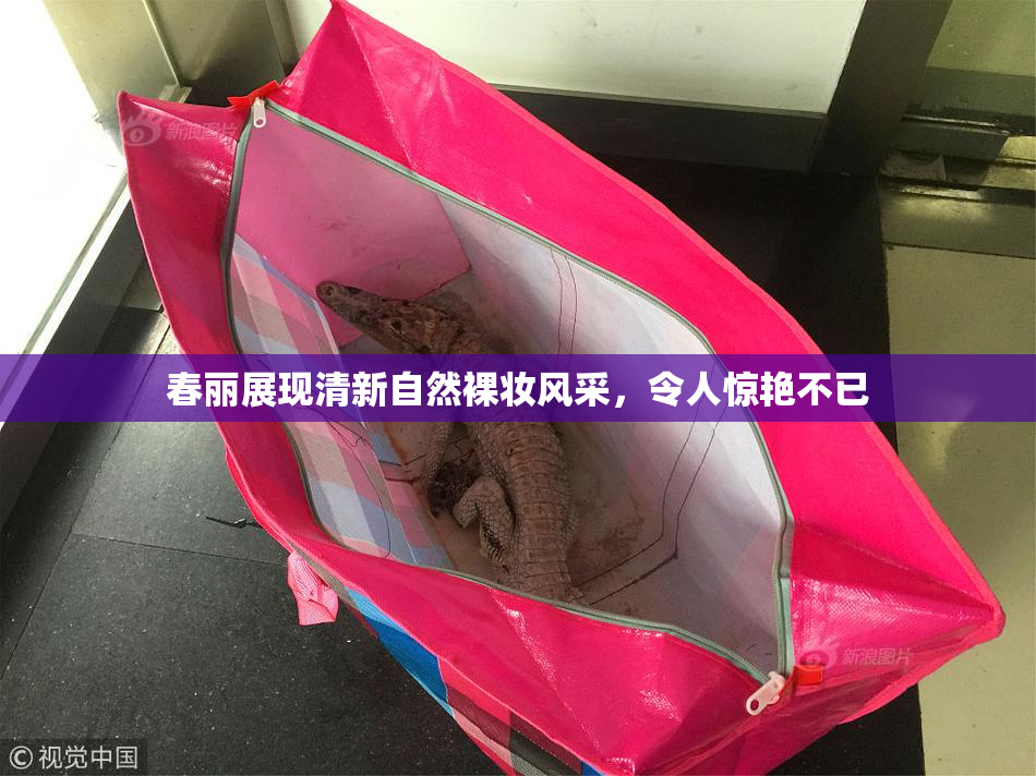 春丽展现清新自然裸妆风采，令人惊艳不已
