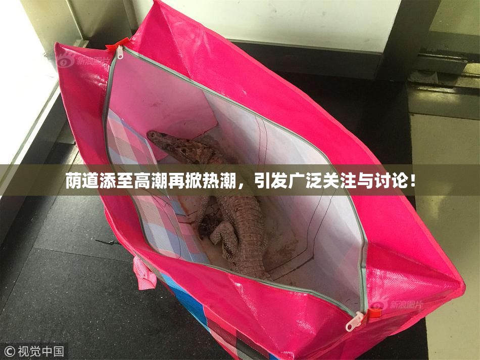 荫道添至高潮再掀热潮，引发广泛关注与讨论！