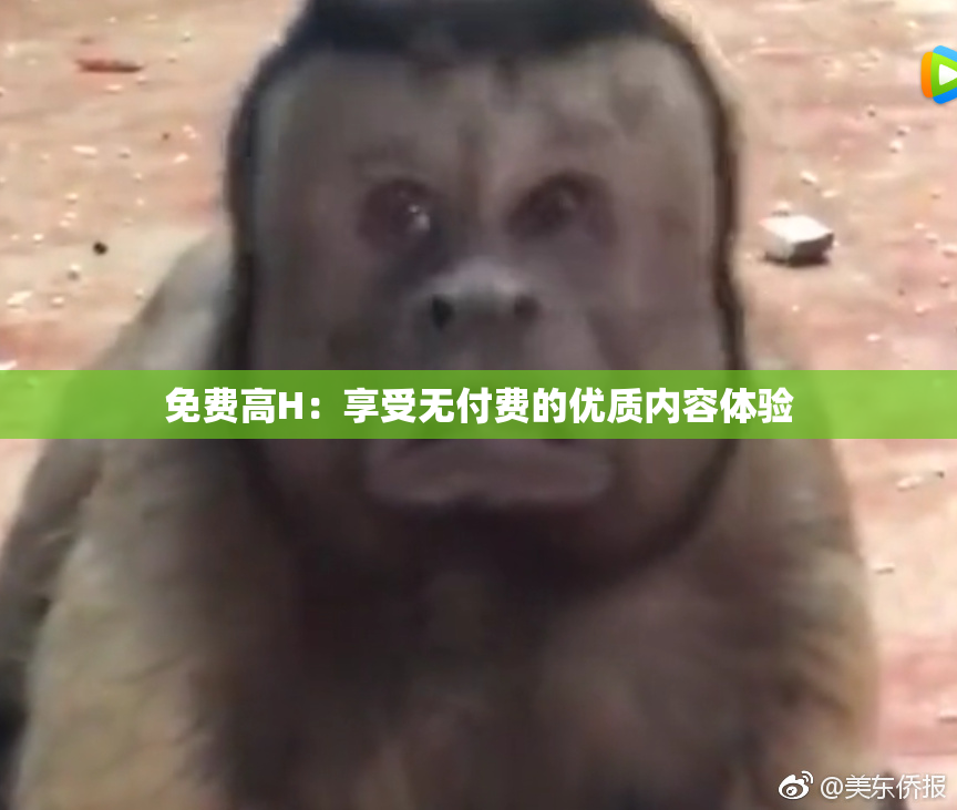 免费高H：享受无付费的优质内容体验
