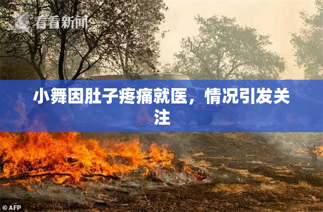 小舞因肚子疼痛就医，情况引发关注