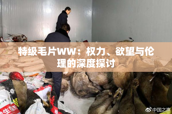 特级毛片WW：权力、欲望与伦理的深度探讨