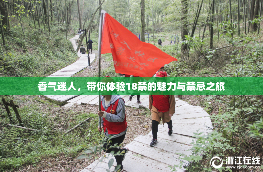 香气迷人，带你体验18禁的魅力与禁忌之旅