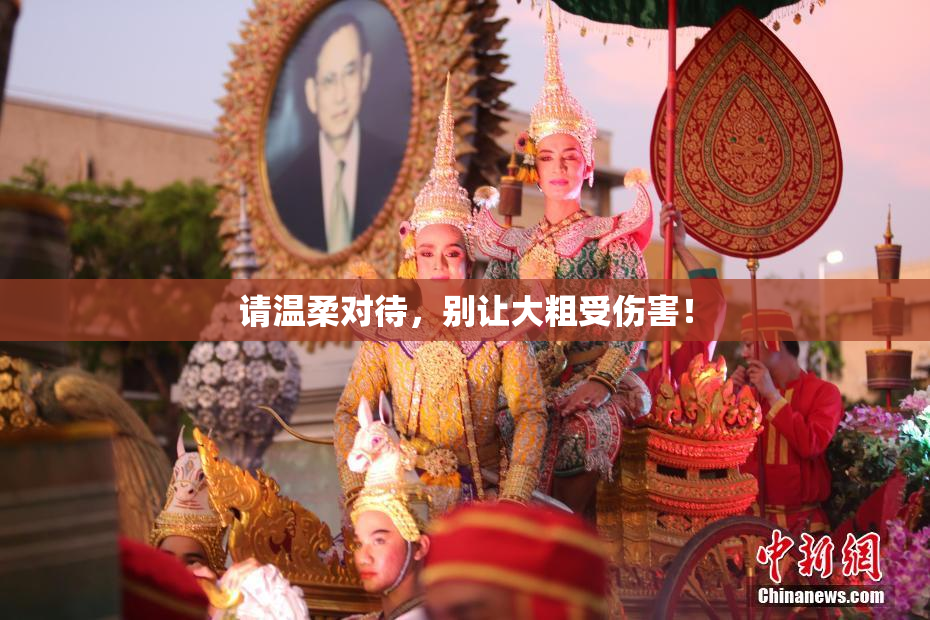 请温柔对待，别让大粗受伤害！