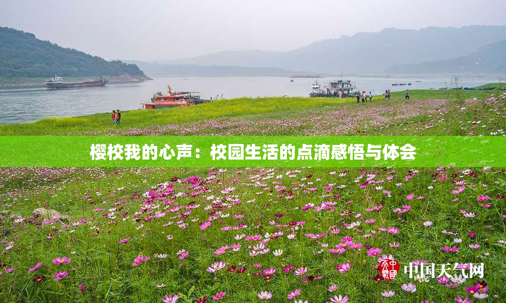 樱校我的心声：校园生活的点滴感悟与体会