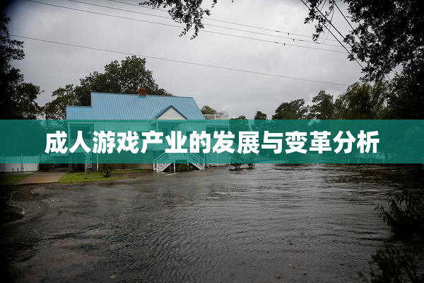 成人游戏产业的发展与变革分析