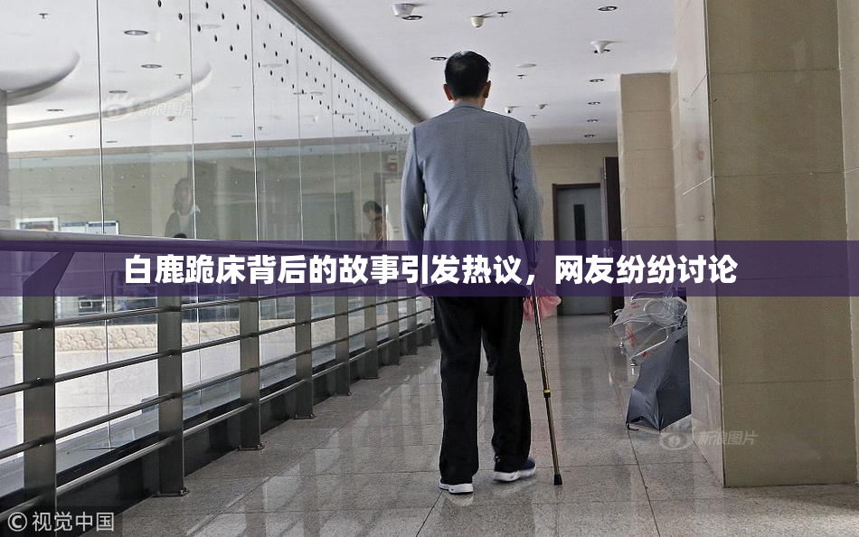 白鹿跪床背后的故事引发热议，网友纷纷讨论