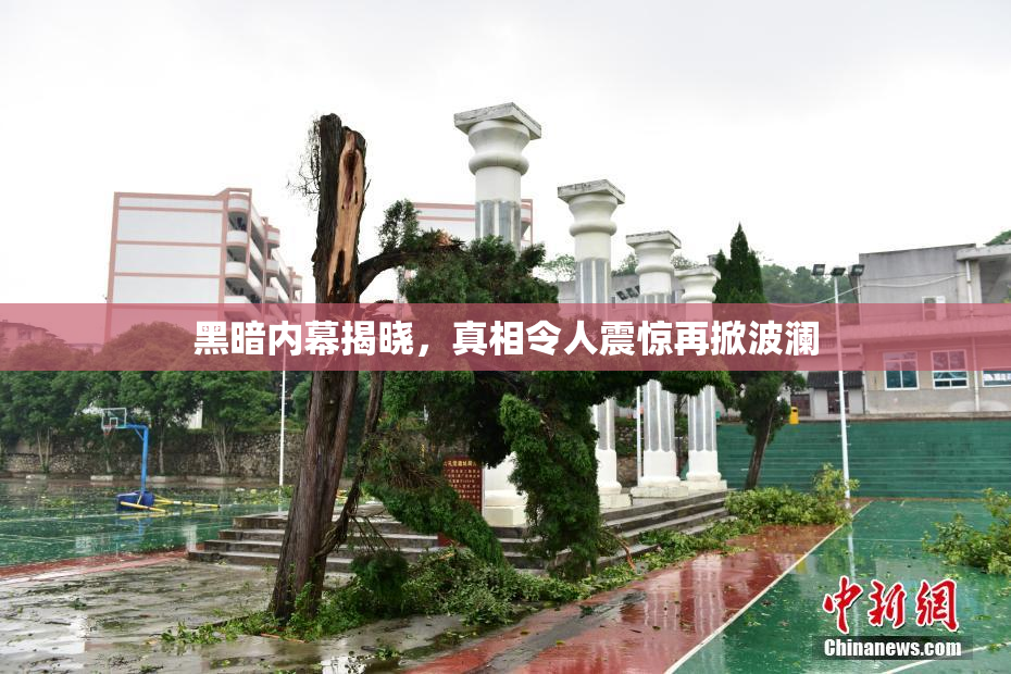 黑暗内幕揭晓，真相令人震惊再掀波澜