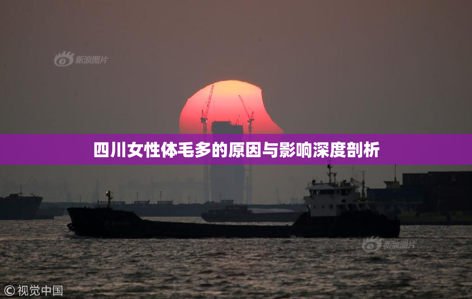 四川女性体毛多的原因与影响深度剖析