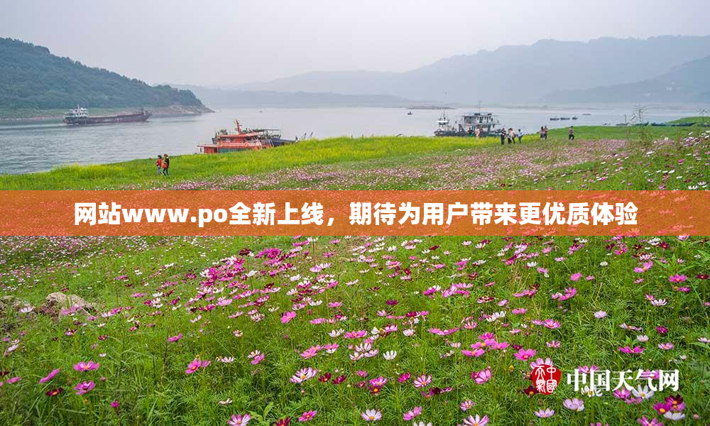 网站www.ро全新上线，期待为用户带来更优质体验