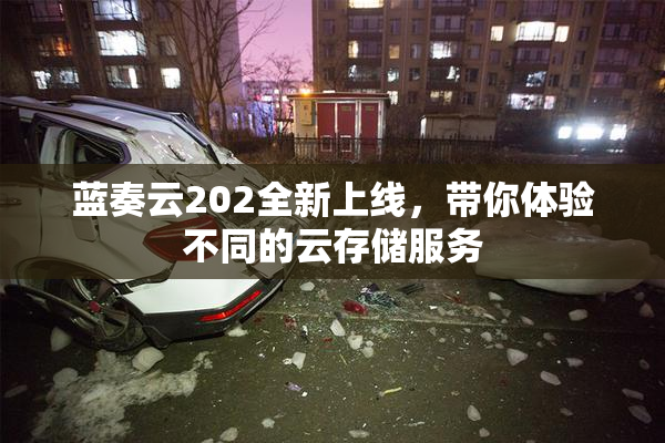 蓝奏云202全新上线，带你体验不同的云存储服务