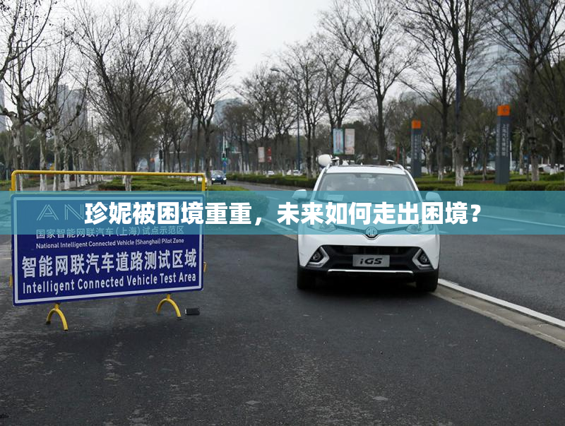 珍妮被困境重重，未来如何走出困境？