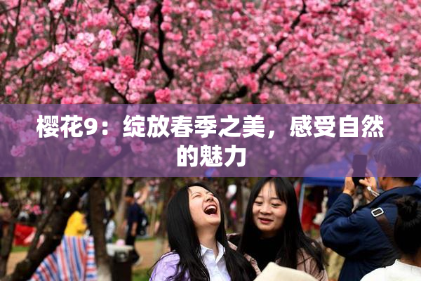 樱花9：绽放春季之美，感受自然的魅力