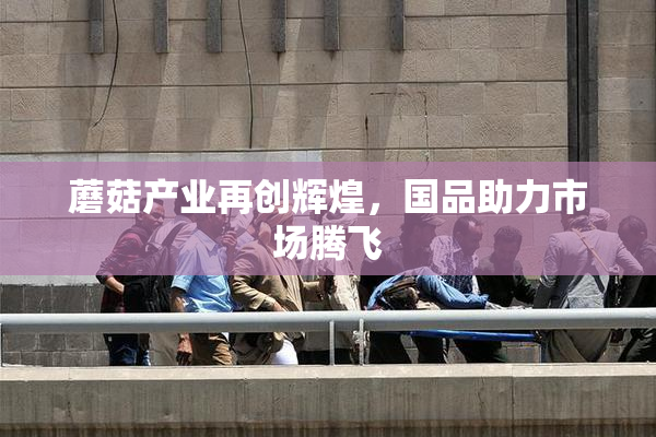 蘑菇产业再创辉煌，国品助力市场腾飞