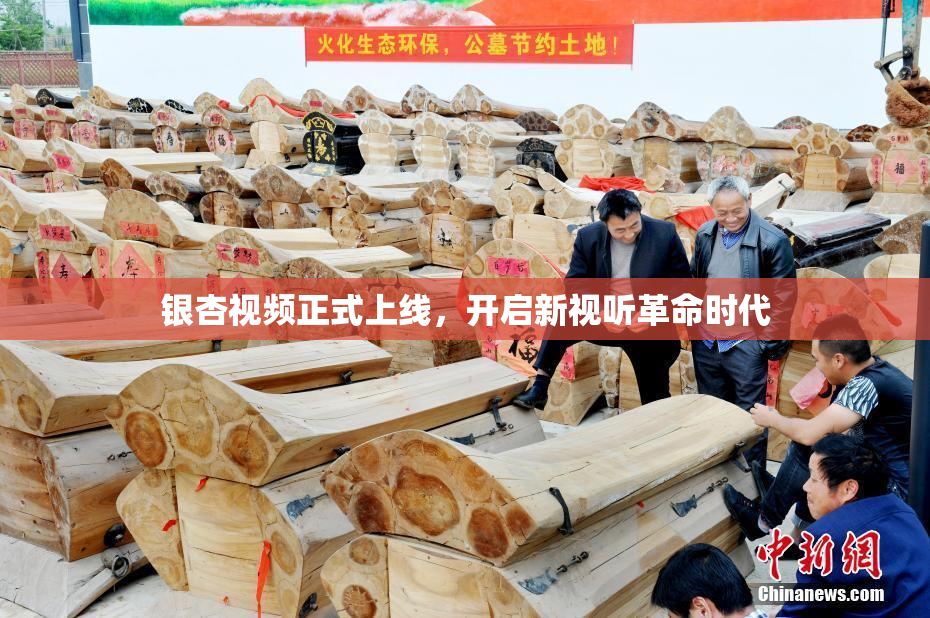 银杏视频正式上线，开启新视听革命时代
