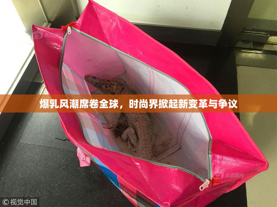 爆乳风潮席卷全球，时尚界掀起新变革与争议