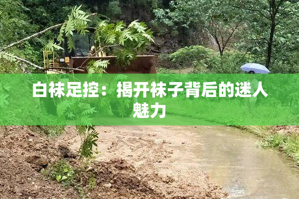 白袜足控：揭开袜子背后的迷人魅力