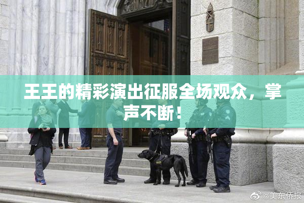 王王的精彩演出征服全场观众，掌声不断！