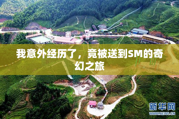 我意外经历了，竟被送到SM的奇幻之旅