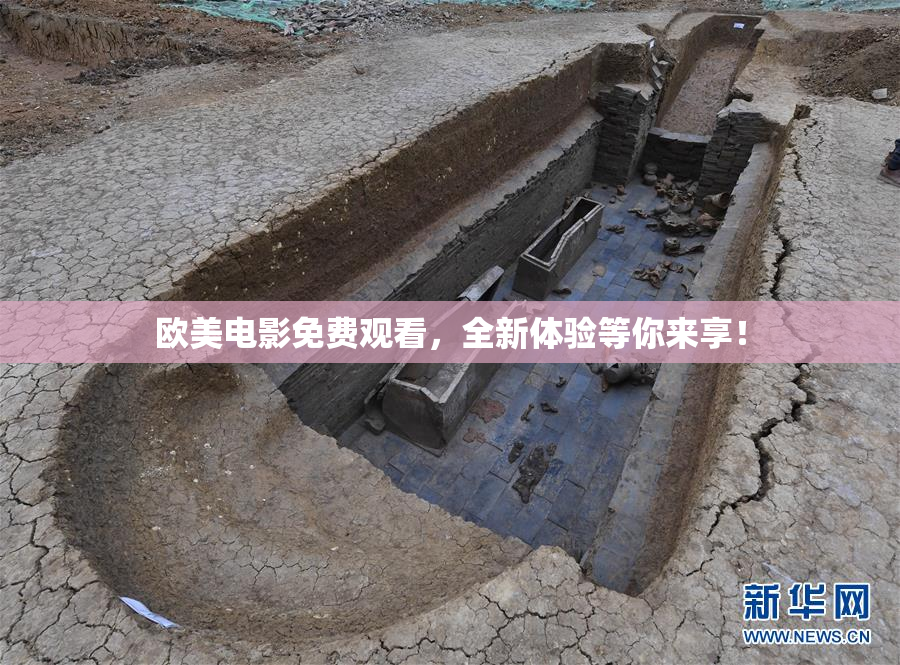 欧美电影免费观看，全新体验等你来享！