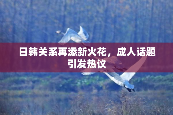 日韩关系再添新火花，成人话题引发热议
