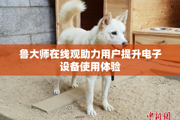 鲁大师在线观助力用户提升电子设备使用体验