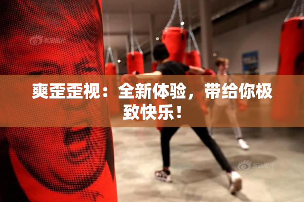 爽歪歪视：全新体验，带给你极致快乐！