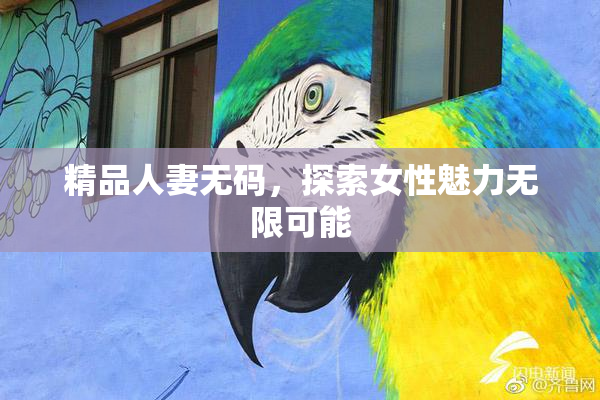 精品人妻无码，探索女性魅力无限可能