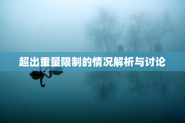 超出重量限制的情况解析与讨论