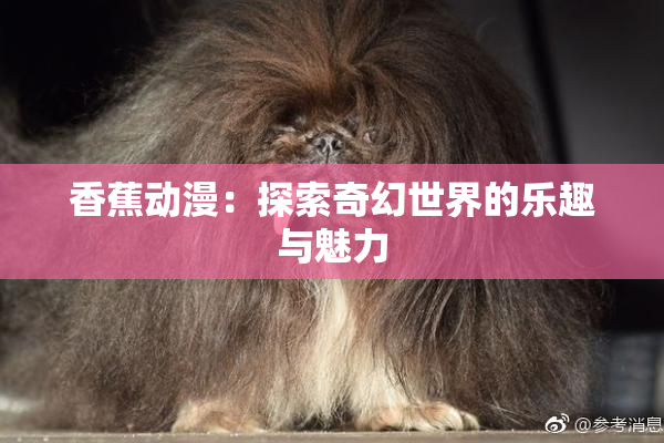 香蕉动漫：探索奇幻世界的乐趣与魅力