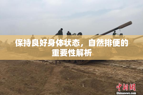 保持良好身体状态，自然排便的重要性解析