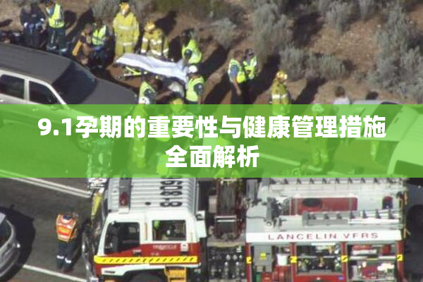 9.1孕期的重要性与健康管理措施全面解析