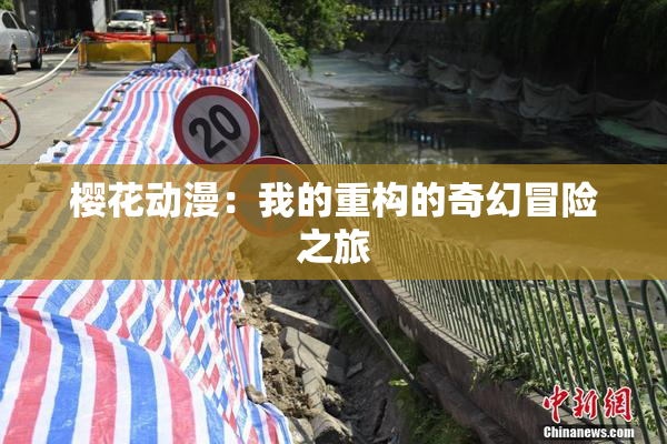 樱花动漫：我的重构的奇幻冒险之旅