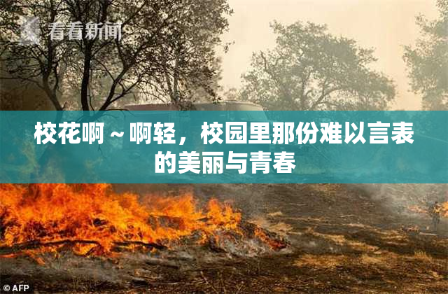 校花啊～啊轻，校园里那份难以言表的美丽与青春