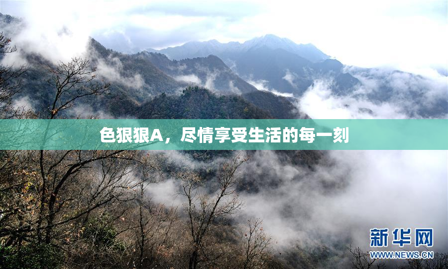 色狠狠A，尽情享受生活的每一刻
