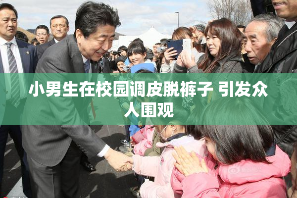 小男生在校园调皮脱裤子 引发众人围观