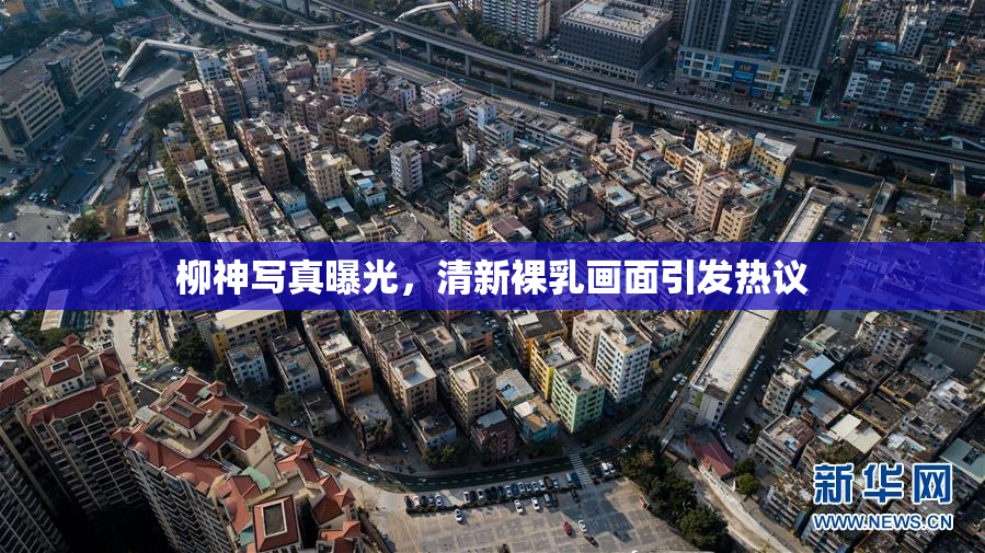 柳神写真曝光，清新裸乳画面引发热议