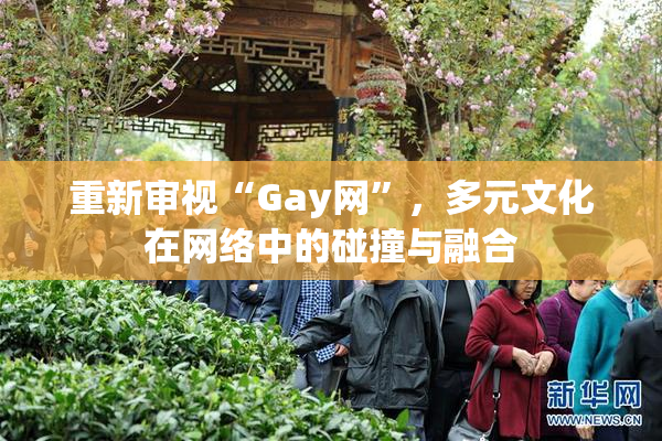 重新审视“Gay网”，多元文化在网络中的碰撞与融合