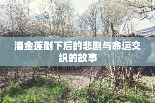 潘金莲倒下后的悲剧与命运交织的故事