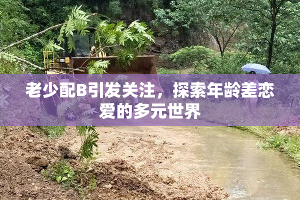 老少配B引发关注，探索年龄差恋爱的多元世界