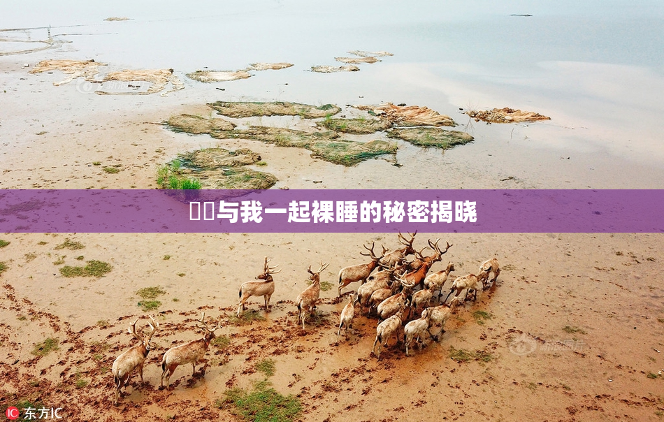 妺妺与我一起裸睡的秘密揭晓