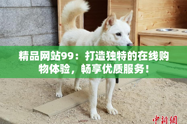 精品网站99：打造独特的在线购物体验，畅享优质服务！