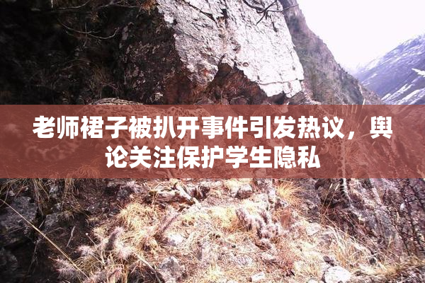 老师裙子被扒开事件引发热议，舆论关注保护学生隐私